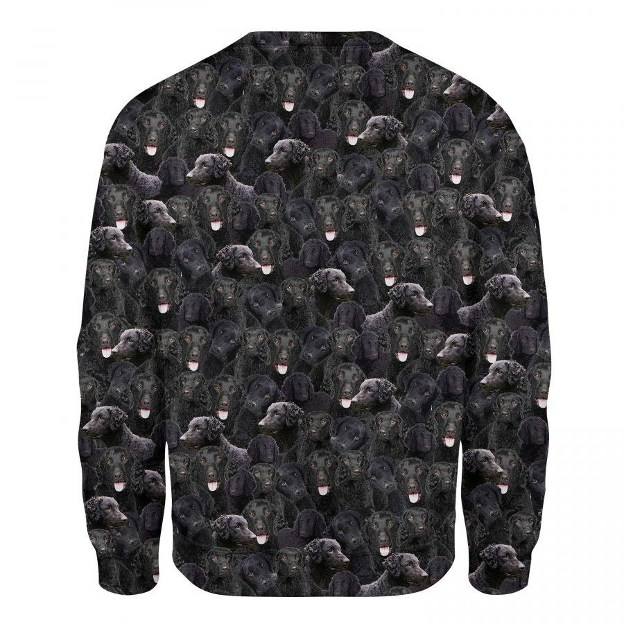 Curly Coated Retriever - Full Face - Premium Sweatshirt