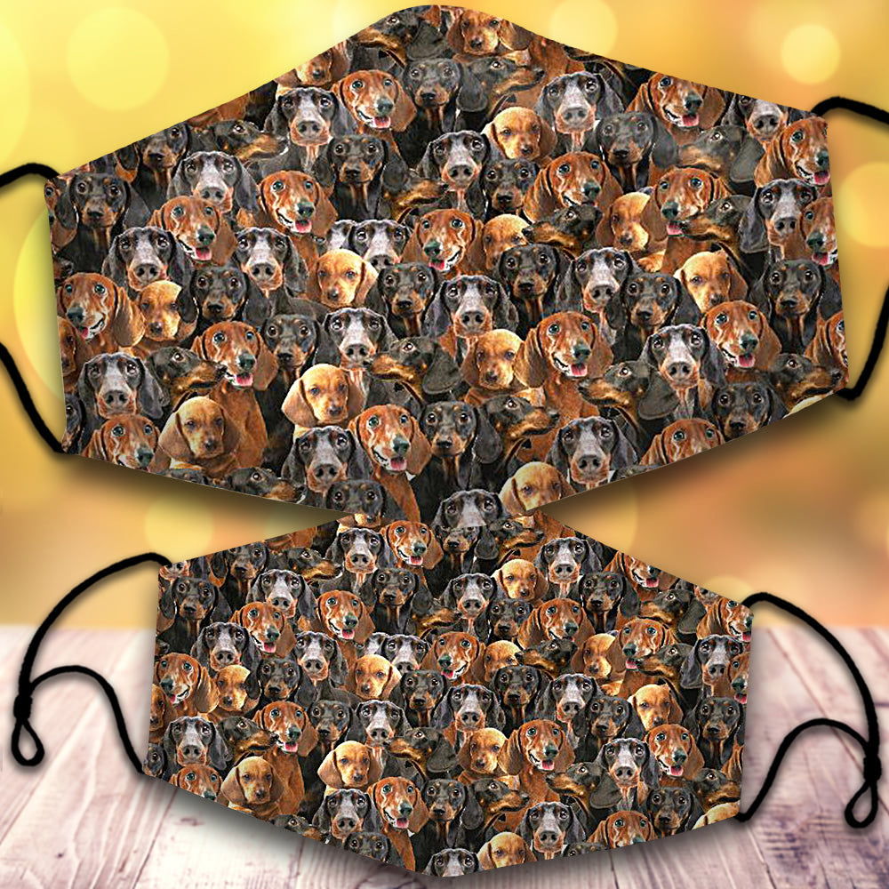 Dachshund-Full Veil
