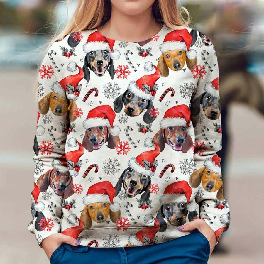 Dachshund - Xmas Decor - Premium Sweatshirt