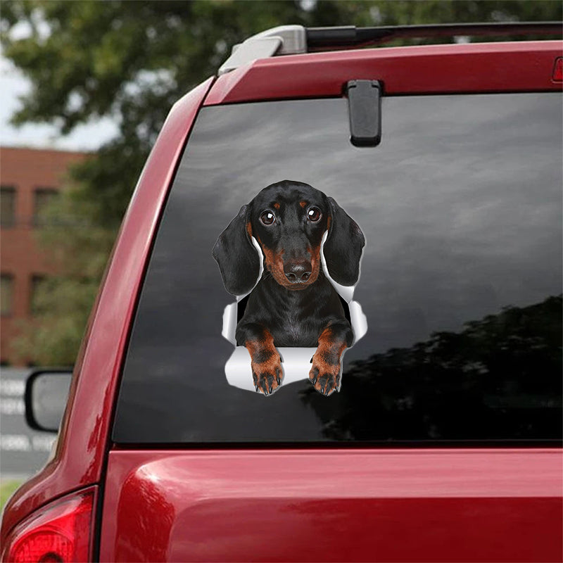 Cute Dachshund Dog CRACK CAR STICKER