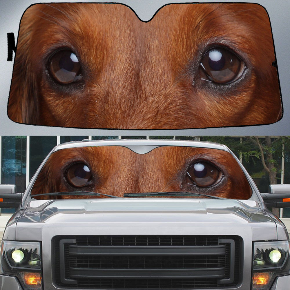 Dachshund (2)'s Eyes-Beautiful Dog Eyes Car Sun Shade Cover Auto Windshield