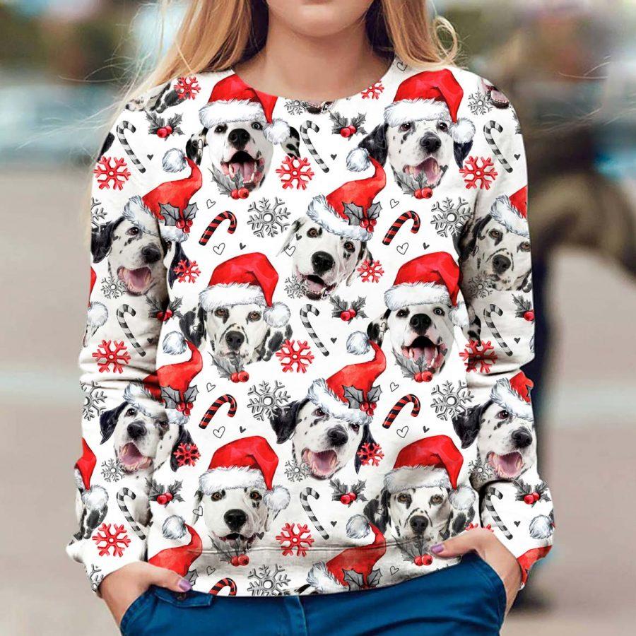 Dalmatian - Xmas Decor - Premium Sweatshirt