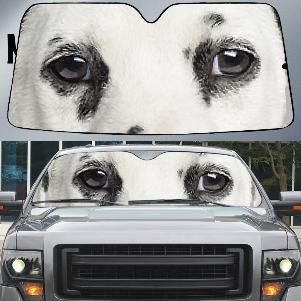Dalmatian's Eyes-Beautiful Dog Eyes Car Sun Shade Cover Auto Windshield