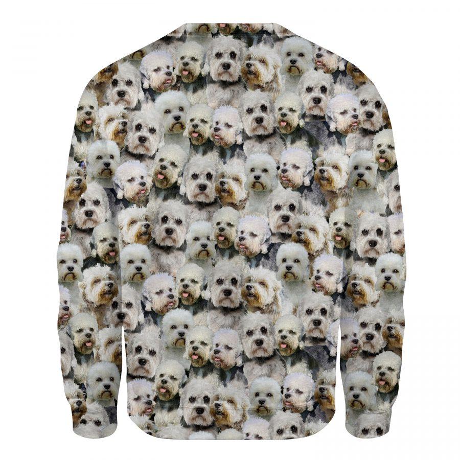 Dandie Dinmont Terrier - Full Face - Premium Sweatshirt
