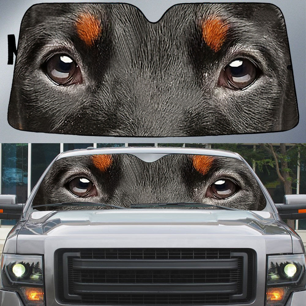 Doberman (2)'s Eyes-Beautiful Dog Eyes Car Sun Shade Cover Auto Windshield