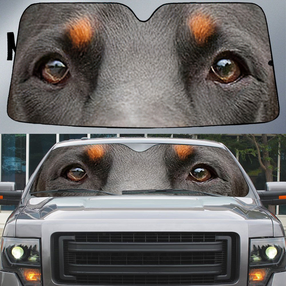 Doberman's Eyes-Beautiful Dog Eyes Car Sun Shade Cover Auto Windshield