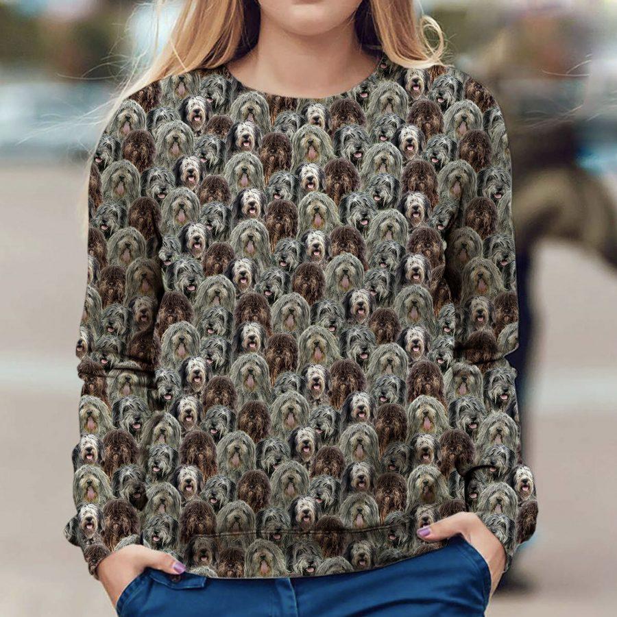 Drentse Patrijshond - Full Face - Premium Sweatshirt
