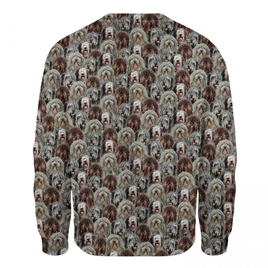 Drentse Patrijshond - Full Face - Premium Sweatshirt