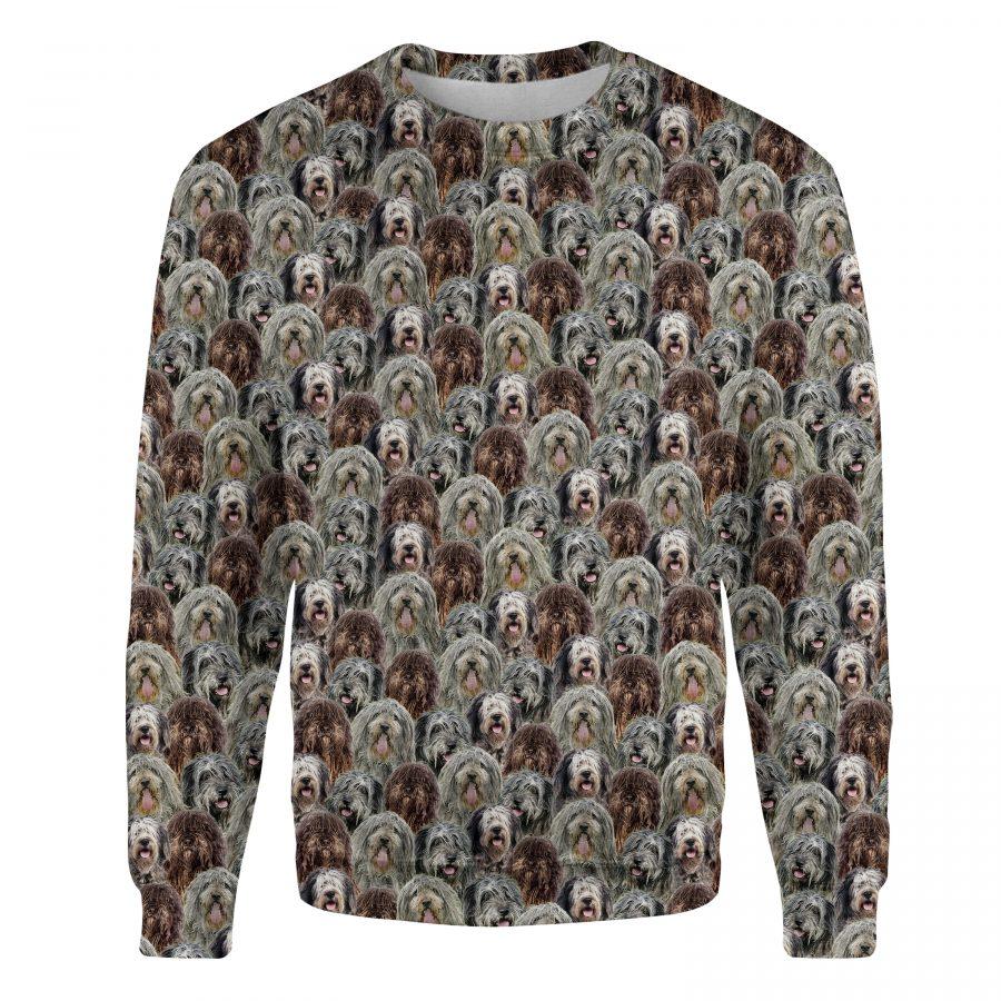 Drentse Patrijshond - Full Face - Premium Sweatshirt