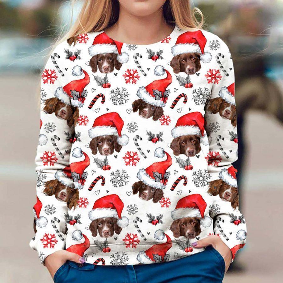 Drentse Patrijshond - Xmas Decor - Premium Sweatshirt