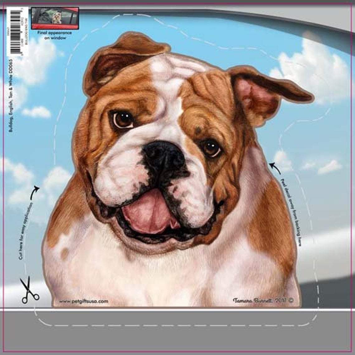 English Bulldog-On The Move Window Car Sticker