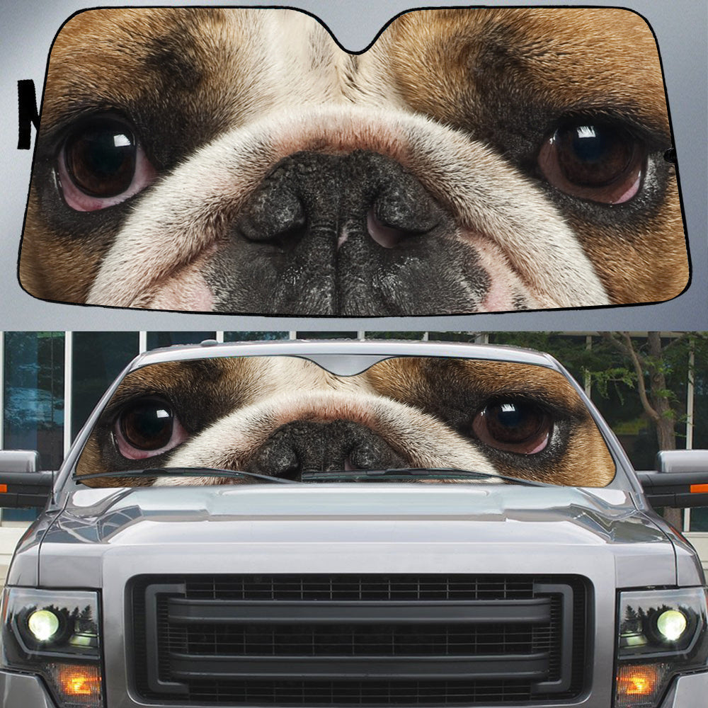 English Bulldog (2)'s Eyes-Beautiful Dog Eyes Car Sun Shade Cover Auto Windshield