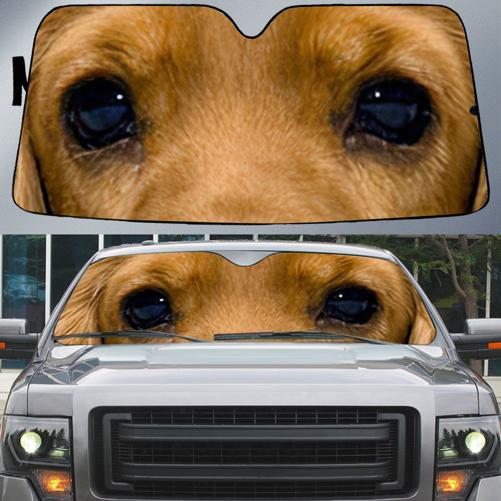 English Cocker Spaniel's Eyes-Beautiful Dog Eyes Car Sun Shade Cover Auto Windshield