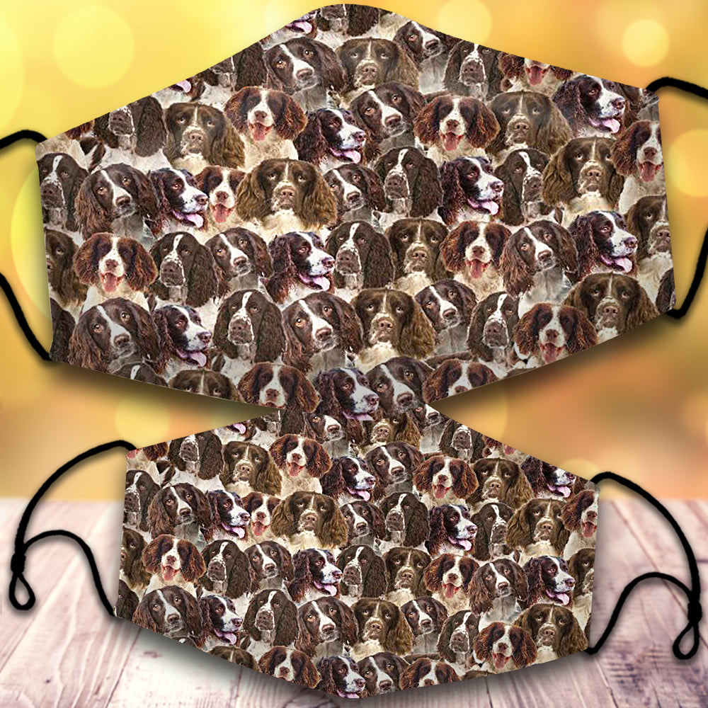 English Springer Spaniel-Full Veil