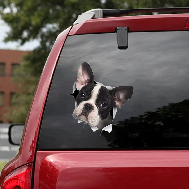 Cute French Bulldog 2 CRACK CAR STICKER