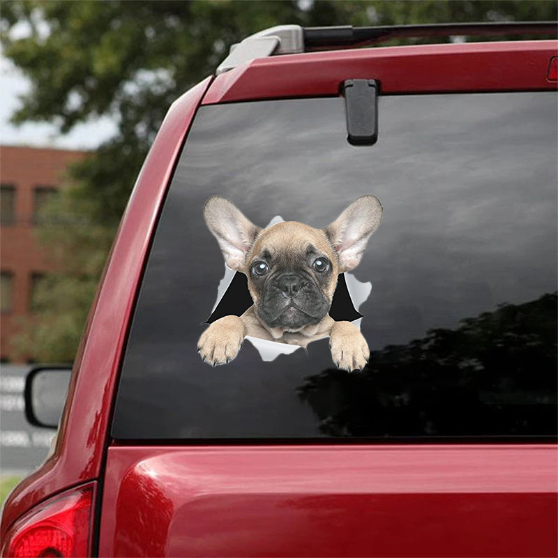 Cute French Bulldog 3 CRACK CAR STICKER