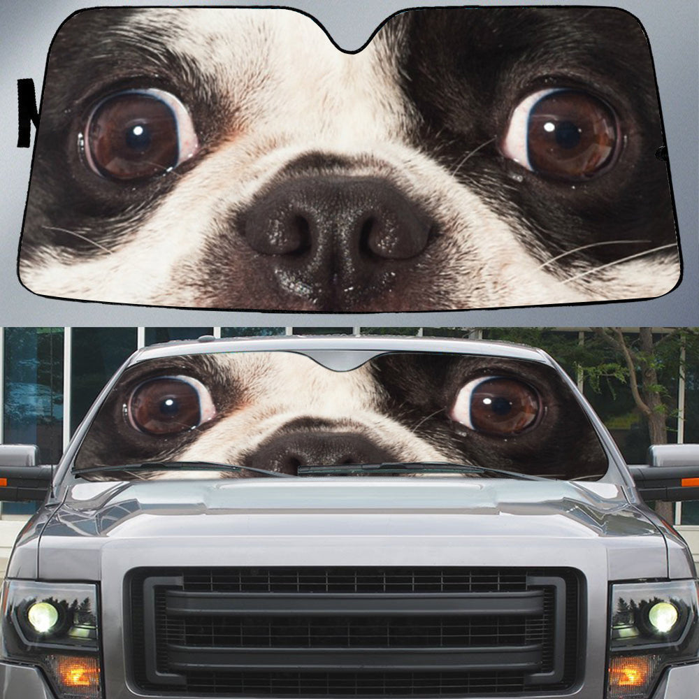 French Bulldog (2)'s Eyes-Beautiful Dog Eyes Car Sun Shade Cover Auto Windshield