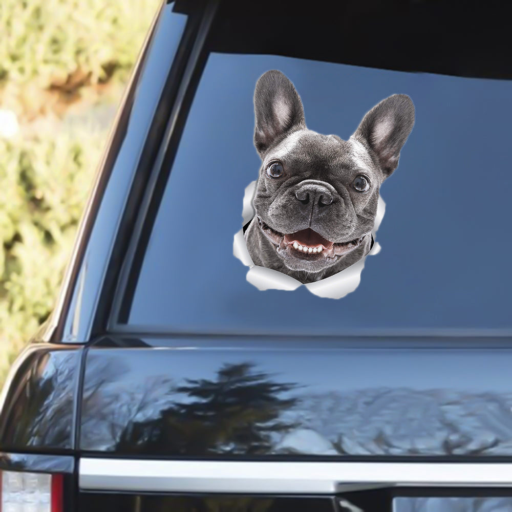 Frenchie Out Of The Window Decal - Noodever