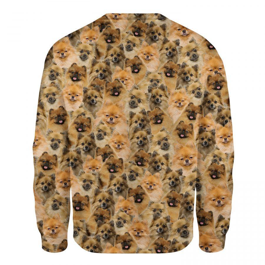 German Spitz - Full Face - Premium Sweatshirt