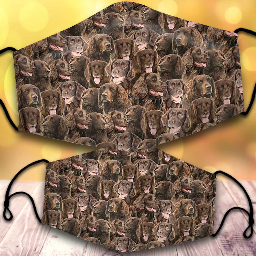 German Longhaired Pointer-Full Veil