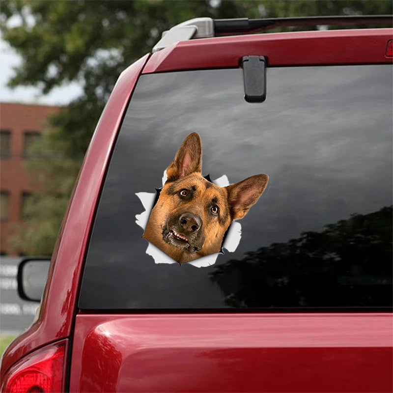 Cute German Shepherd 3 CRACK CAR STICKER