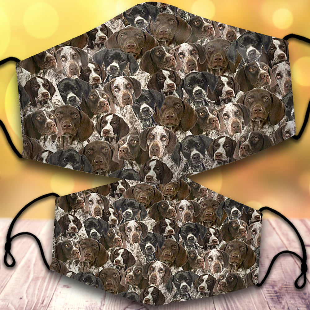 German Shorthaired Pointer-Full Veil