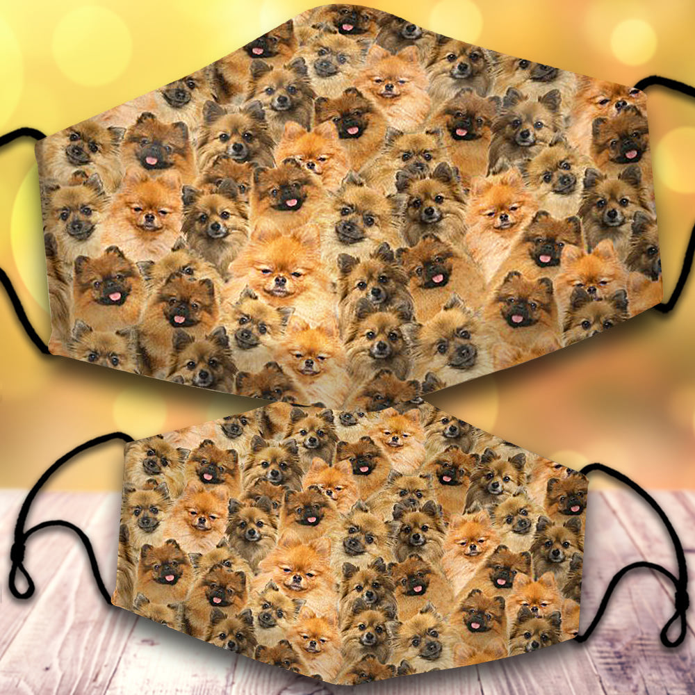 German Spitz-Full Veil