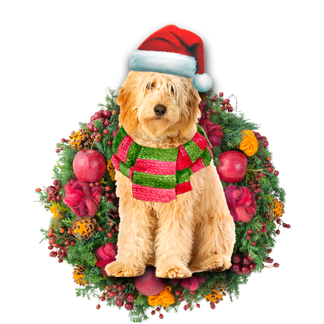 Golden Doodle Christmas Ornament