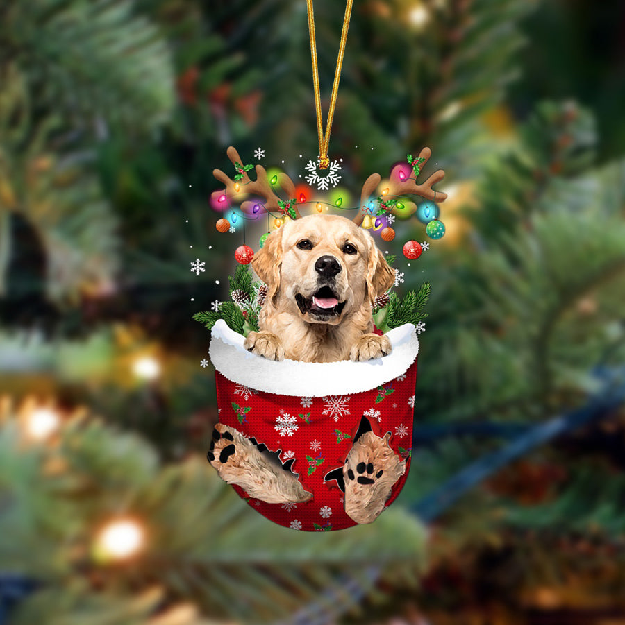 Golden Retriever-In Christmas Pocket Two Sides Ornament