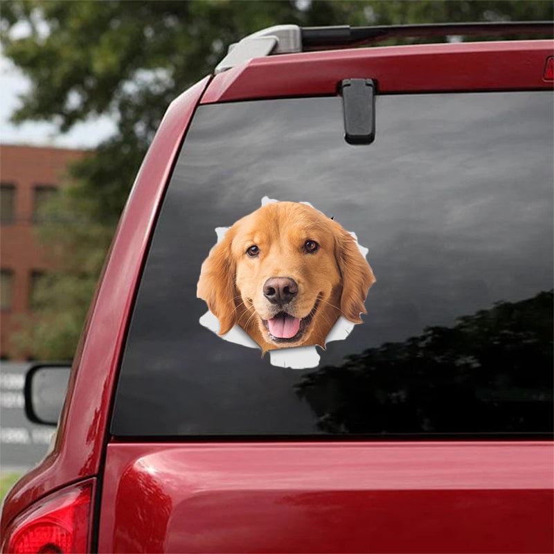 Cute Golden Retriever  CRACK CAR STICKER