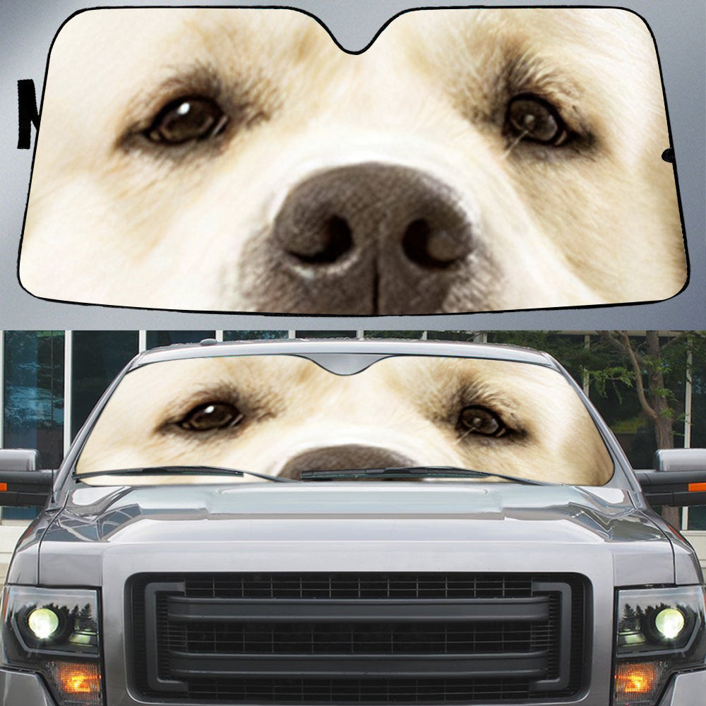 Golden Retriever (2)'s Eyes-Beautiful Dog Eyes Car Sun Shade Cover Auto Windshield