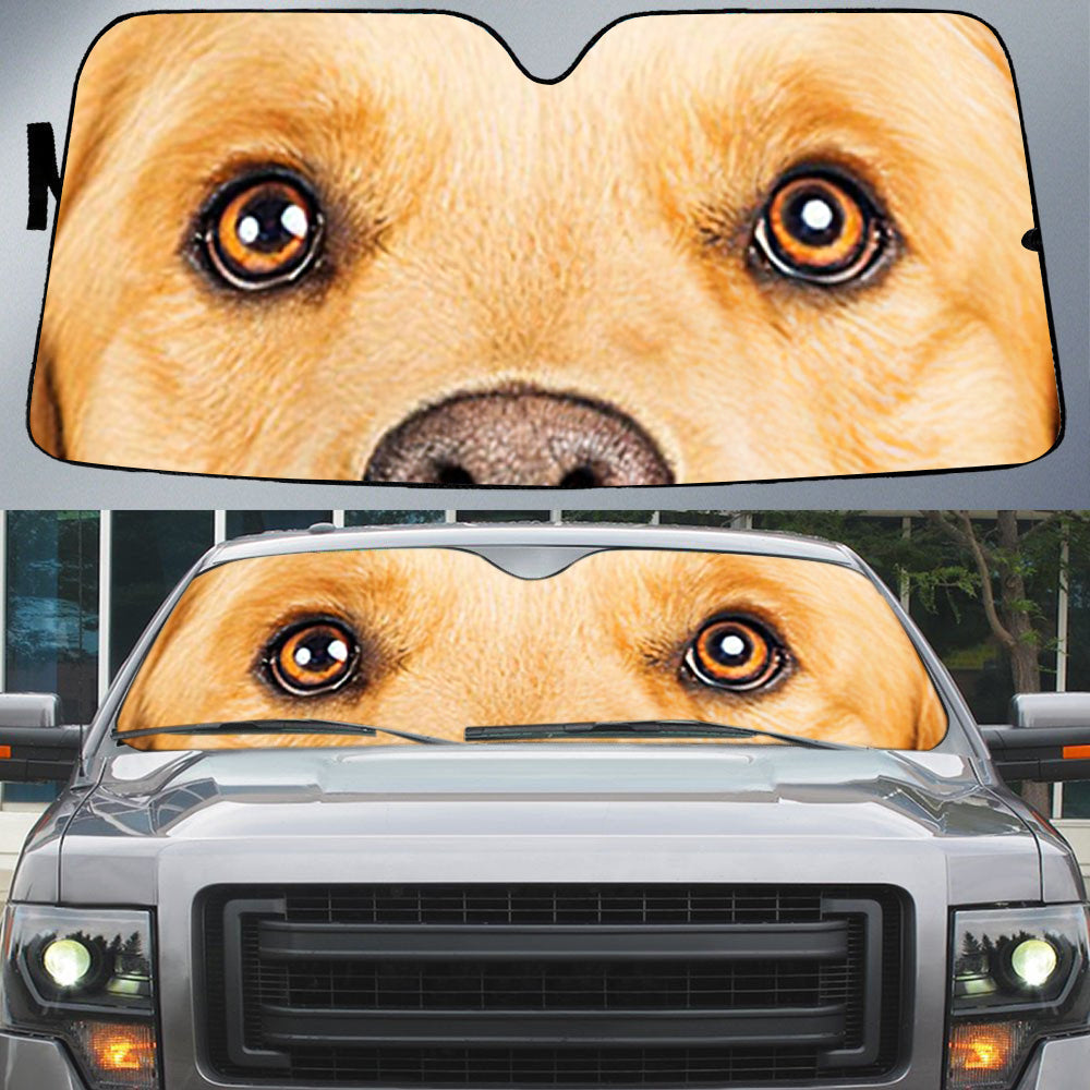 Golden Retriever (3)'s Eyes-Beautiful Dog Eyes Car Sun Shade Cover Auto Windshield