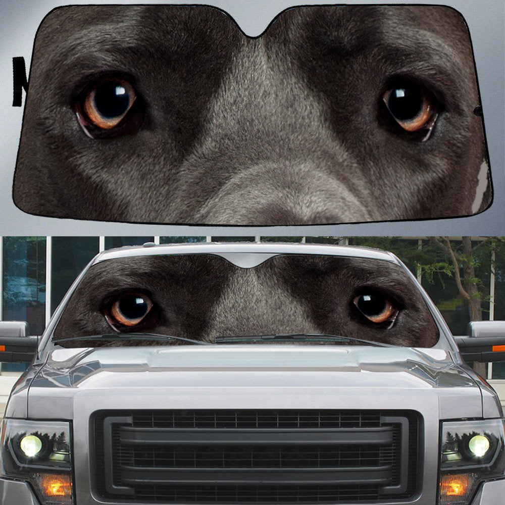 Great Dane Black's Eyes-Beautiful Dog Eyes Car Sun Shade Cover Auto Windshield