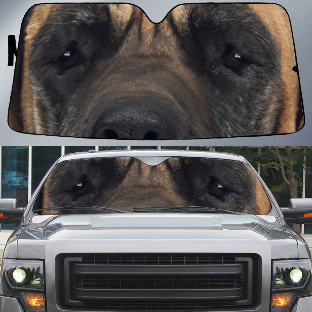 Great Dane's Eyes-Beautiful Dog Eyes Car Sun Shade Cover Auto Windshield