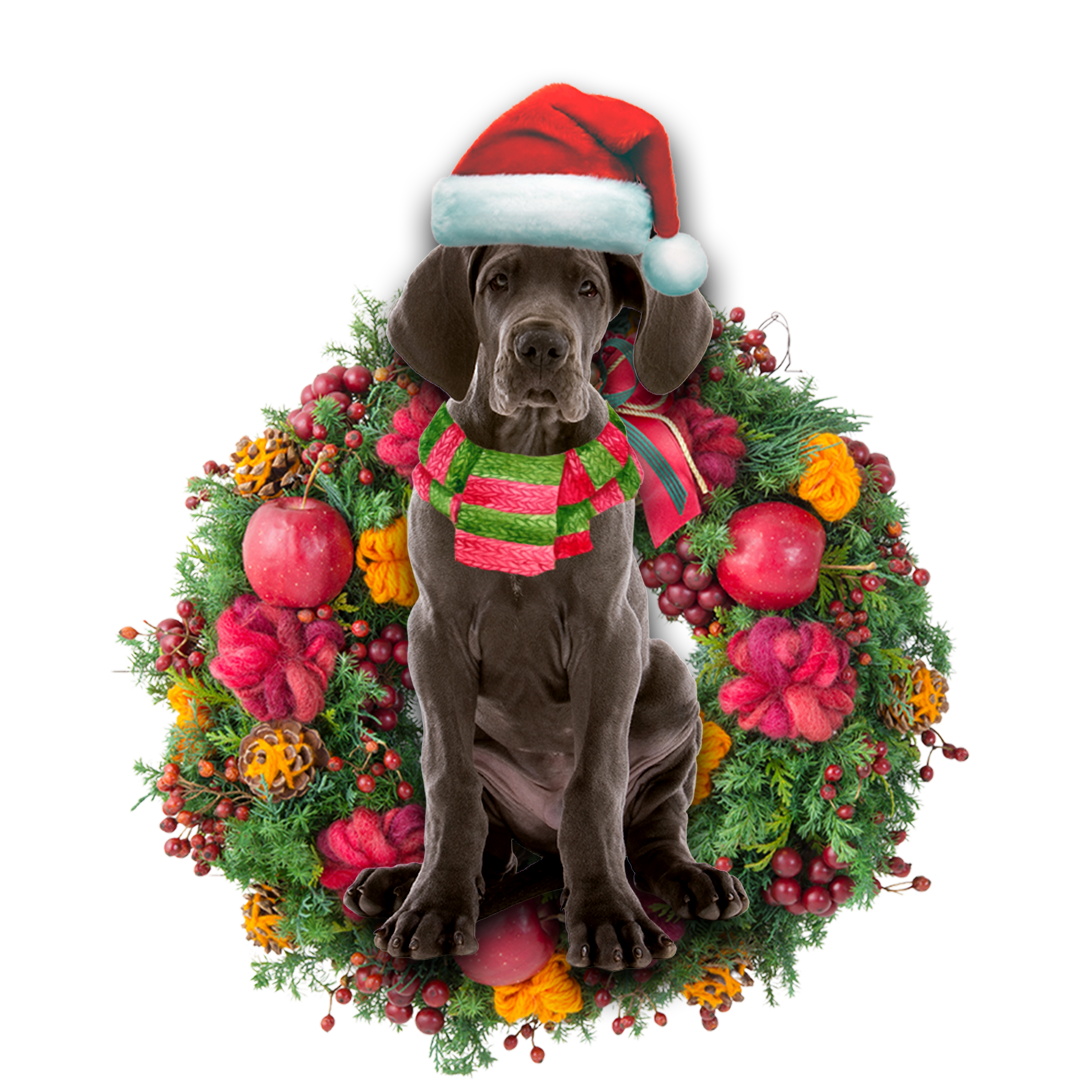 Great Dane Christmas Ornament