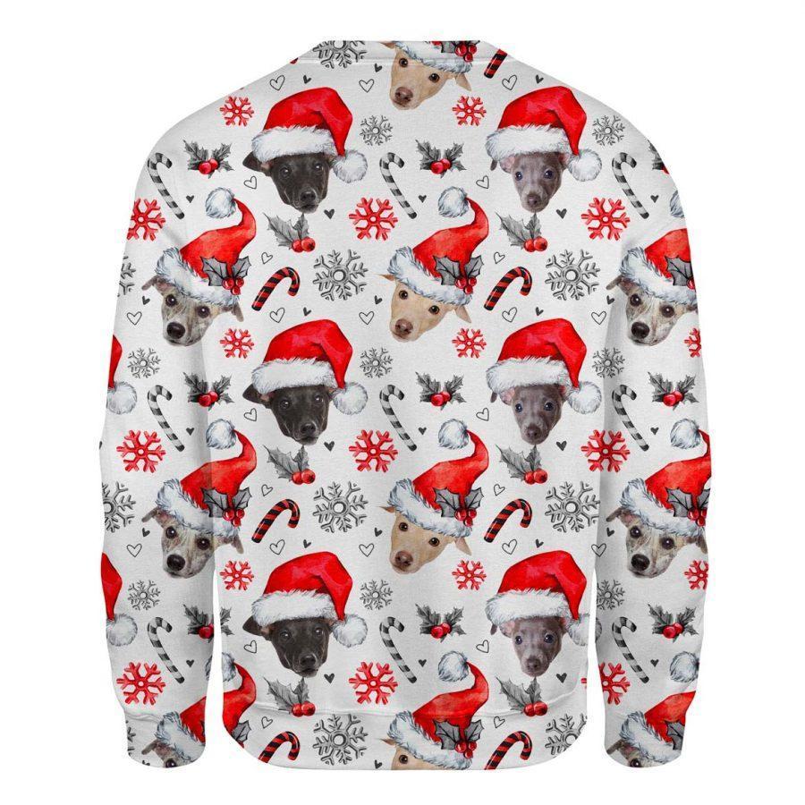 Greyhound - Xmas Decor - Premium Sweatshirt