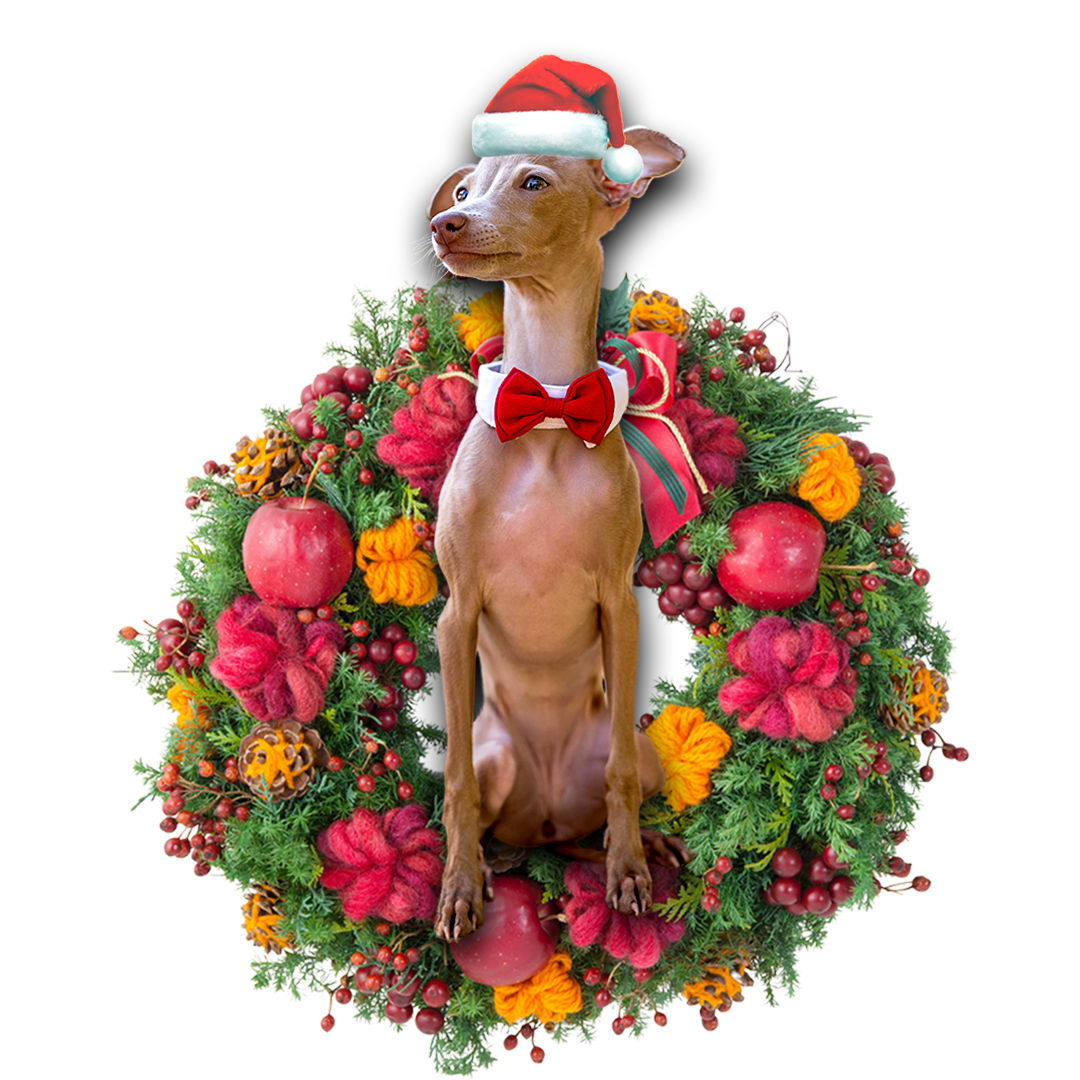 Greyhound Christmas Ornament