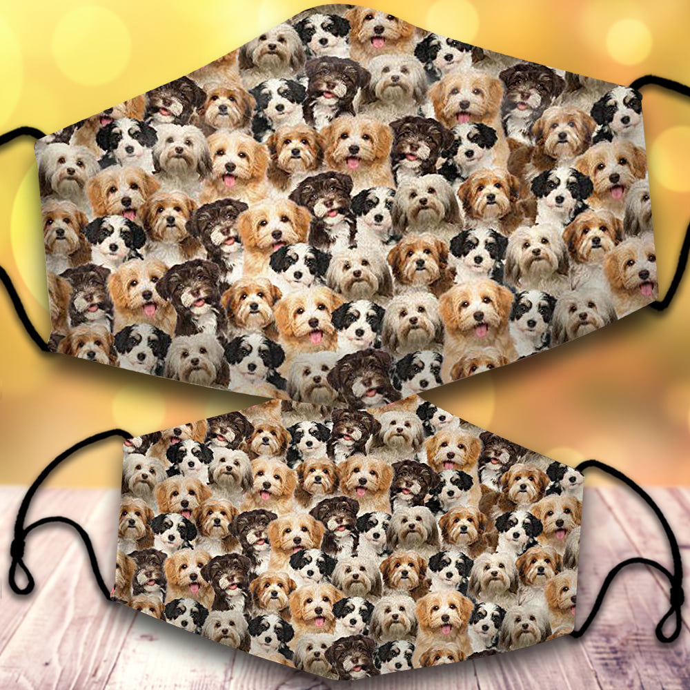 Havanese-Full Veil