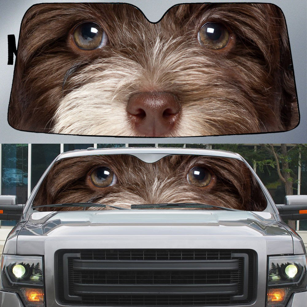 Havanese's Eyes-Beautiful Dog Eyes Car Sun Shade Cover Auto Windshield