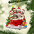 Havanese-Christmas Bag&Dogs-Two Sided Ornament