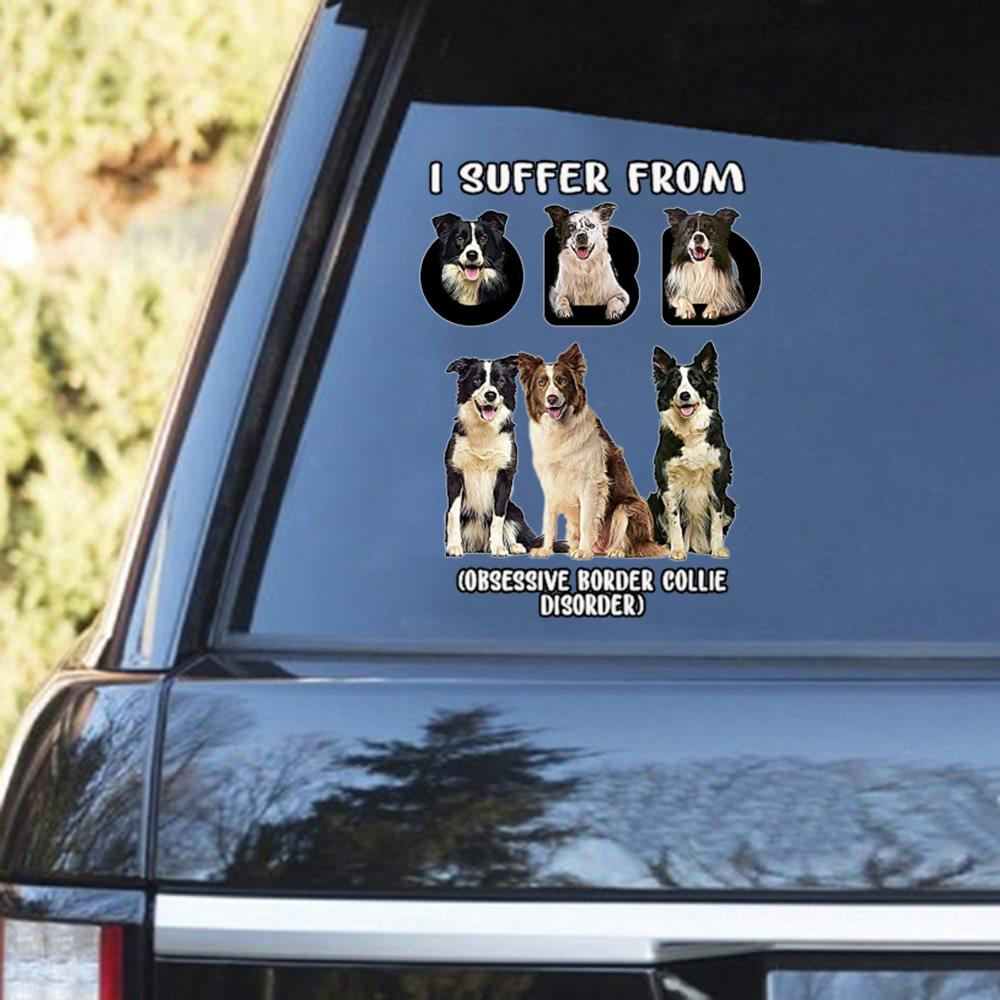 I Suffer From Border Collie Decal