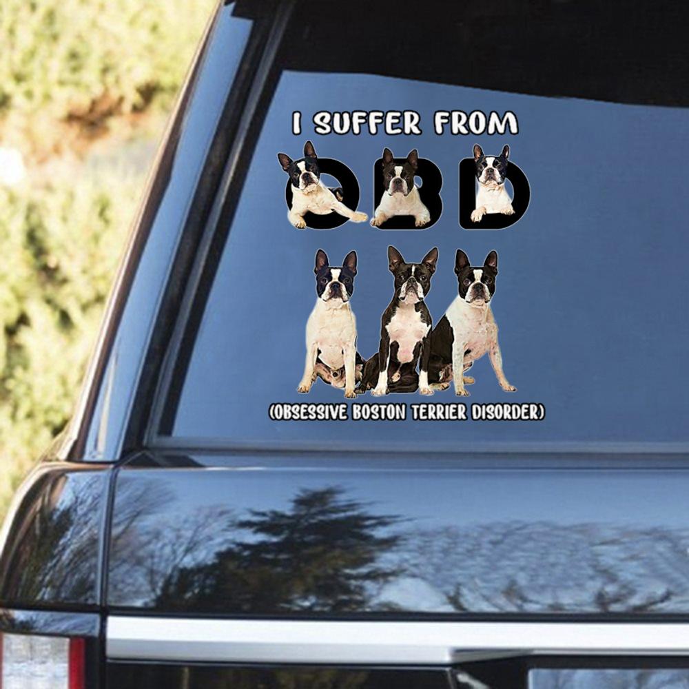 I Suffer From Boston Terrier Decal