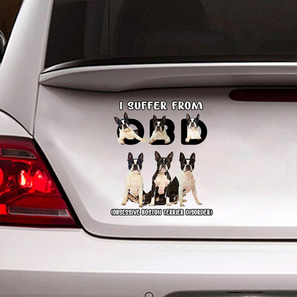 I Suffer From Boston Terrier Decal