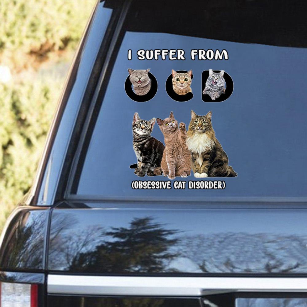 I Suffer From Cat Decal