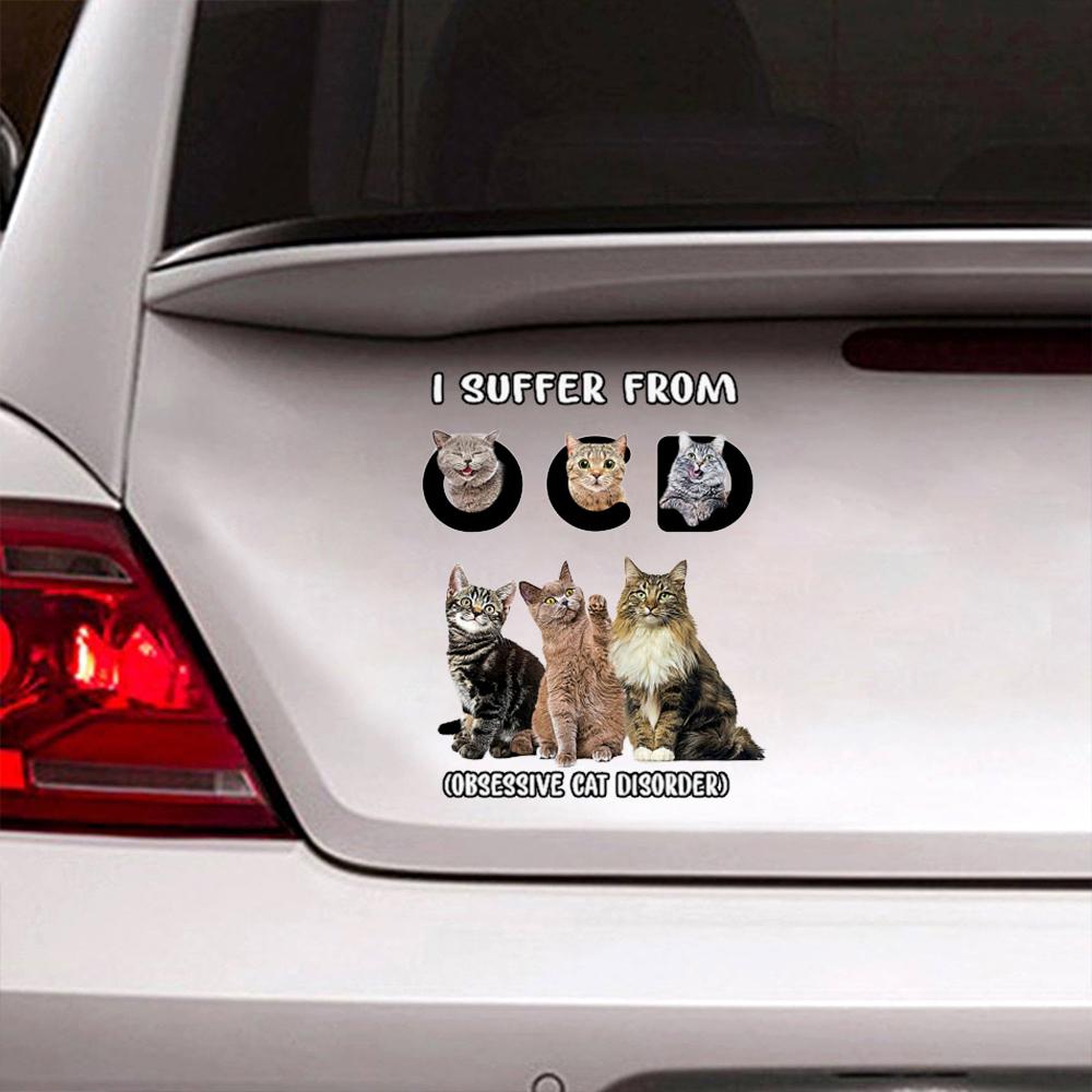 I Suffer From Cat Decal