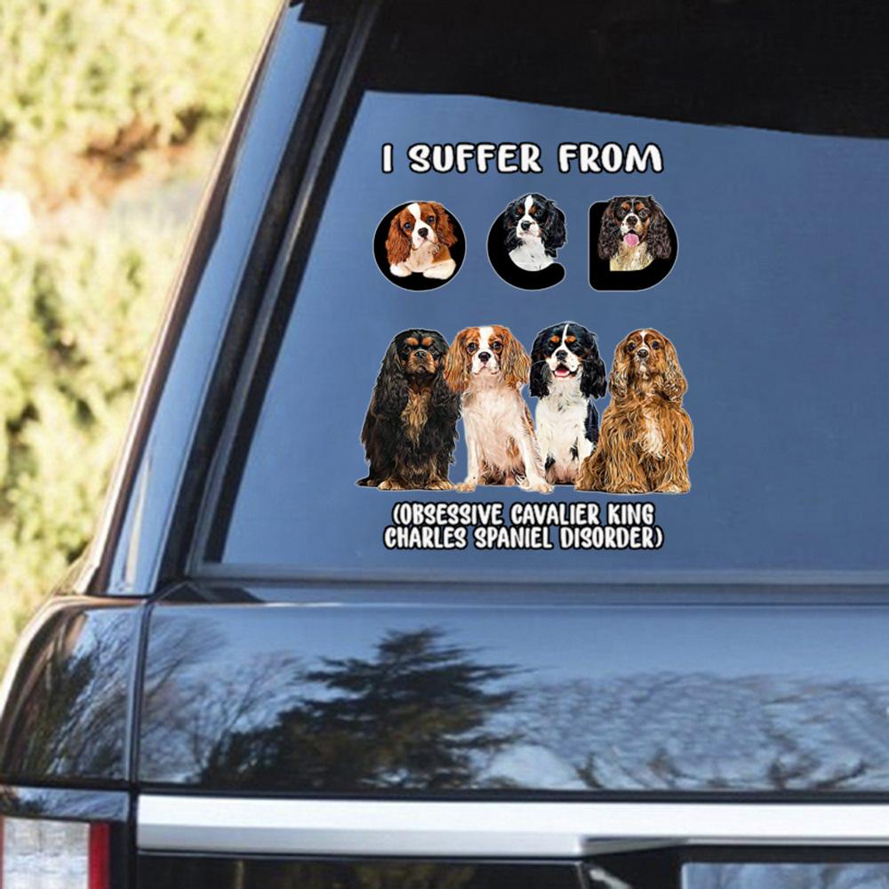 I Suffer From Cavalier King Decal
