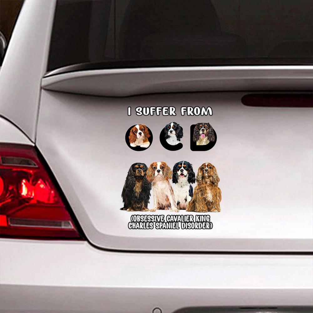 I Suffer From Cavalier King Decal