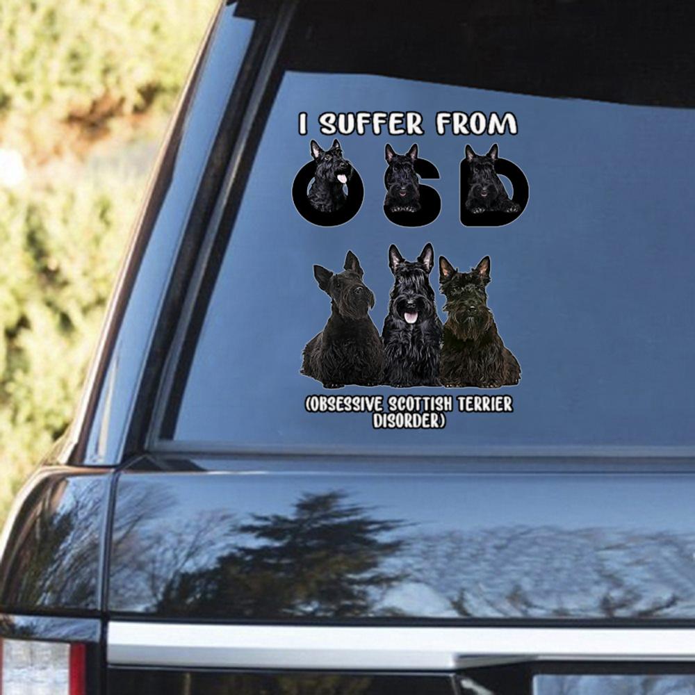 I Suffer From Scottish Terrier Decal