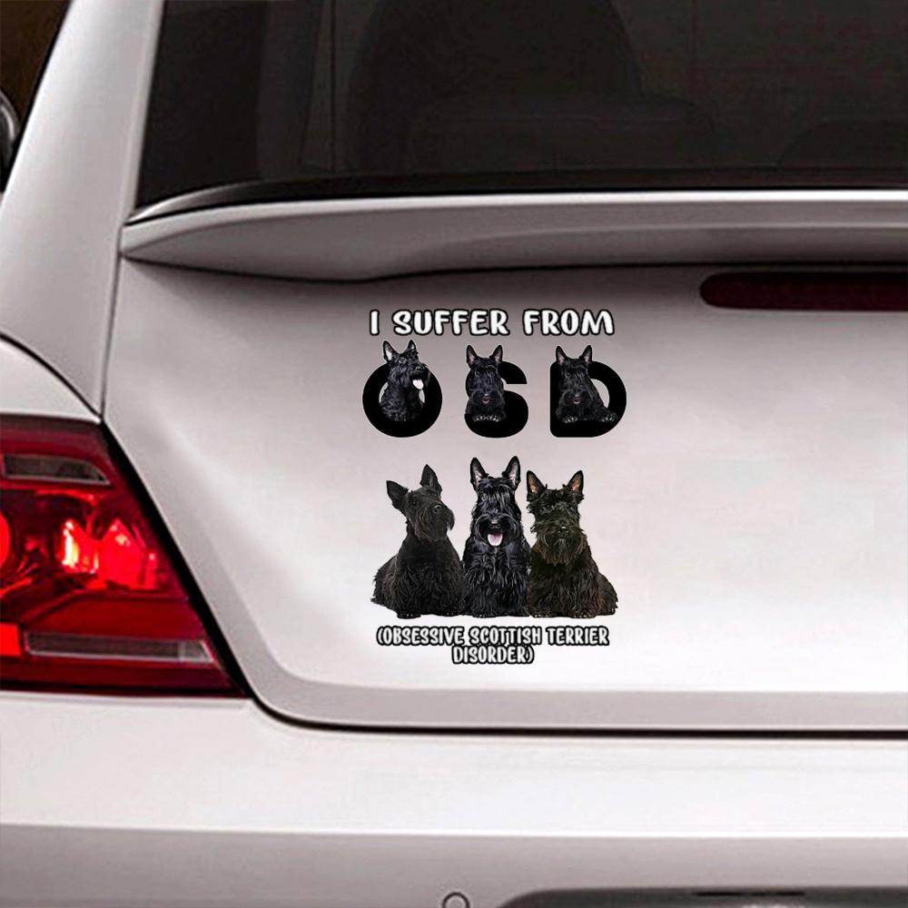 I Suffer From Scottish Terrier Decal