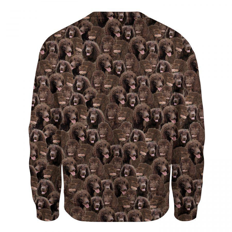Irish Water Spaniel - Full Face - Premium Sweatshirt